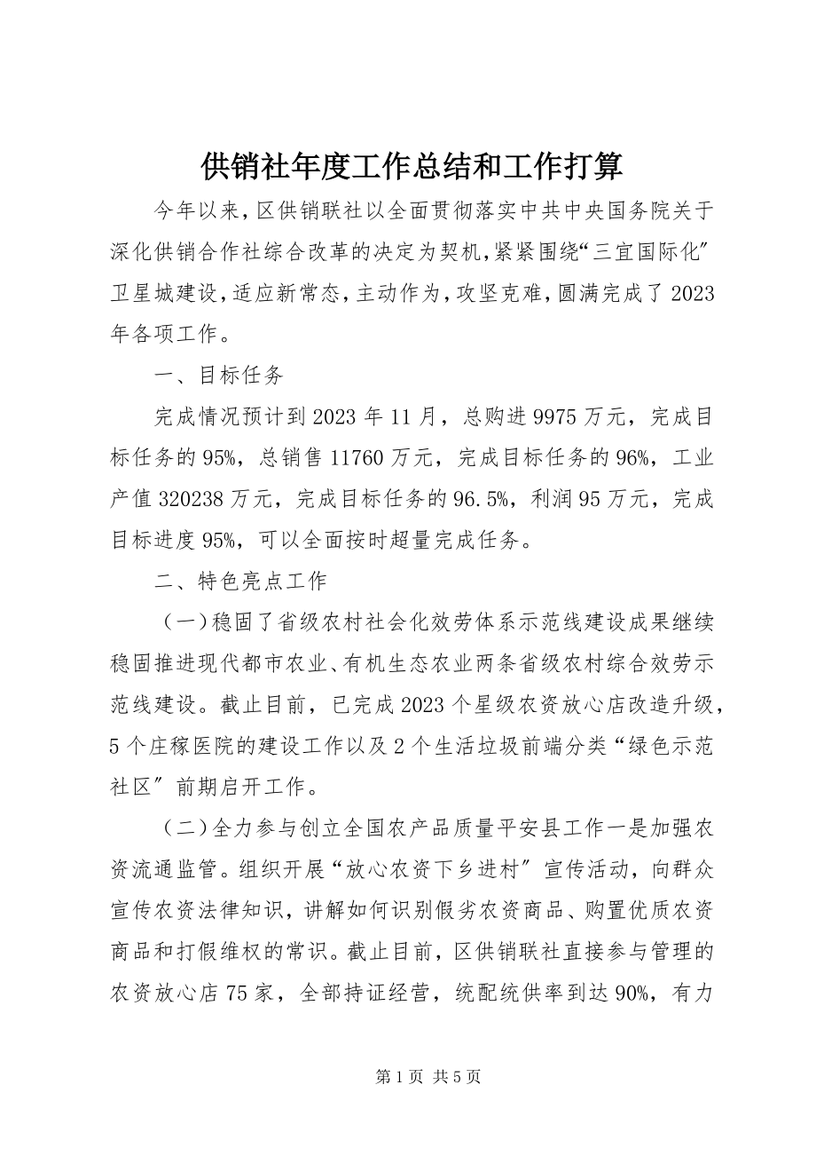 2023年供销社年度工作总结和工作打算.docx_第1页