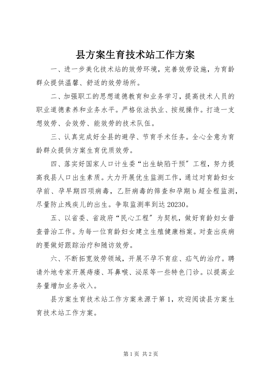 2023年县计划生育技术站工作计划.docx_第1页