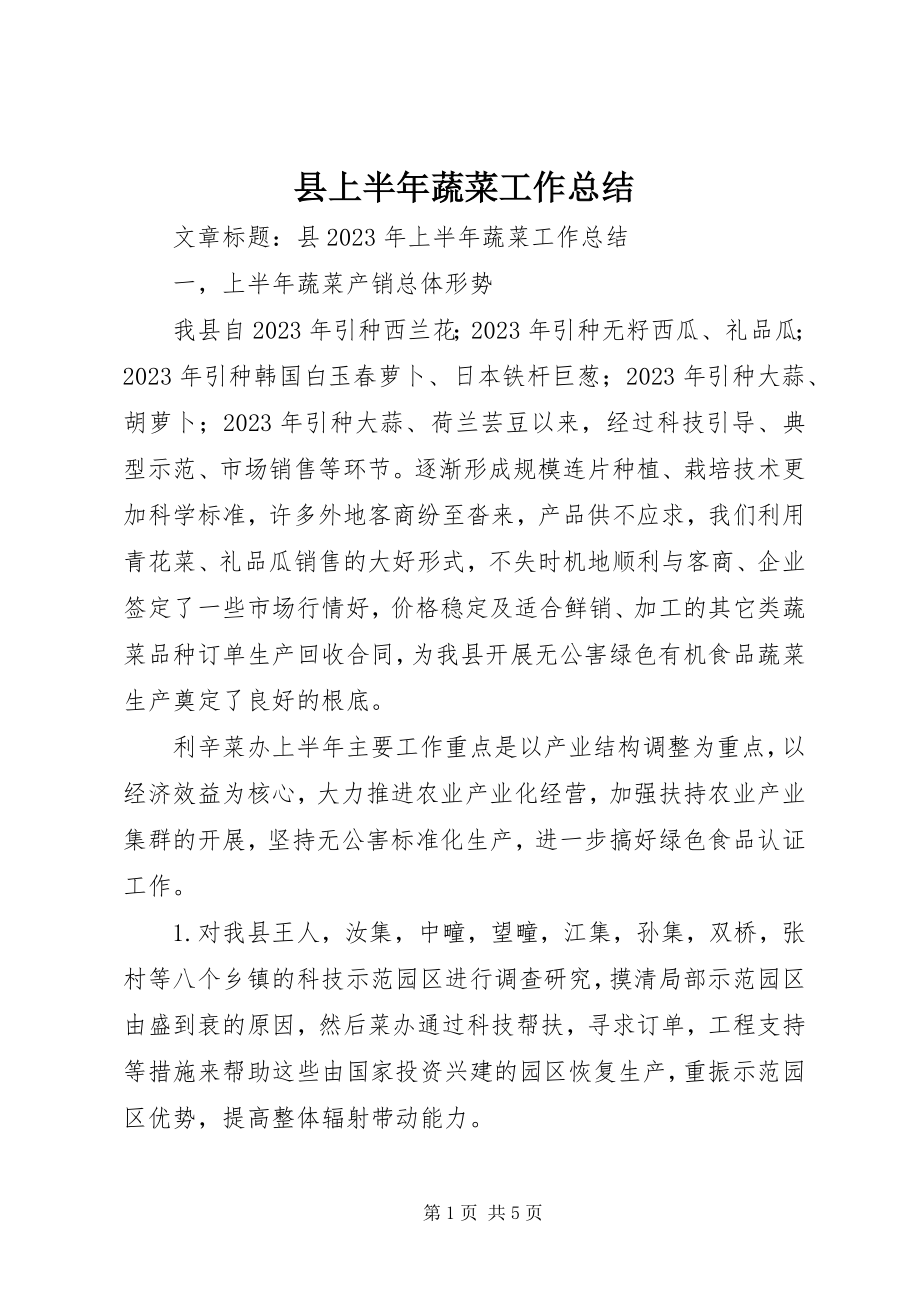 2023年县上半年蔬菜工作总结.docx_第1页