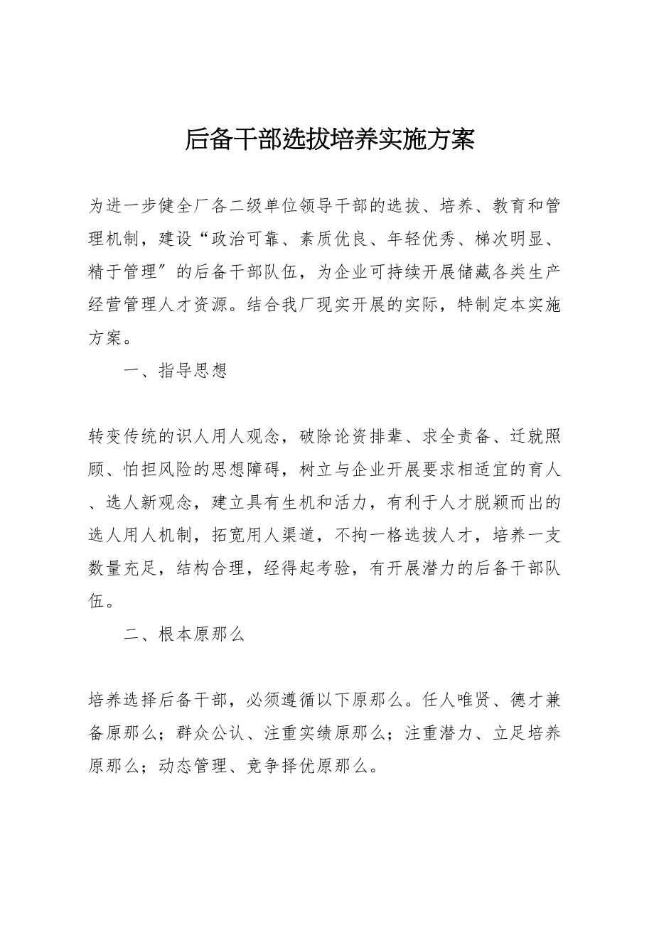 2023年后备干部选拔培养实施方案.doc_第1页