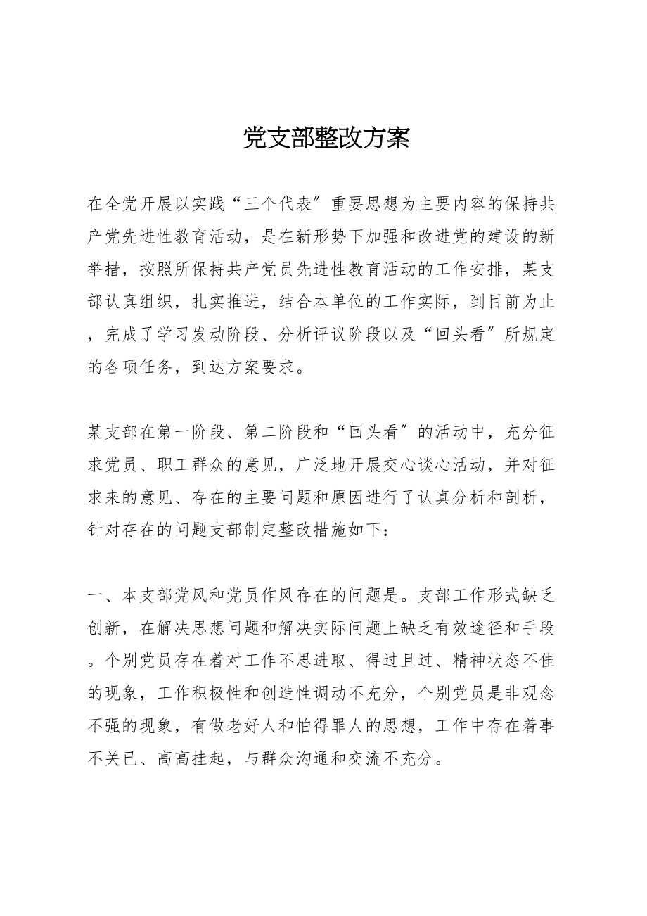 2023年党支部整改方案.doc_第1页