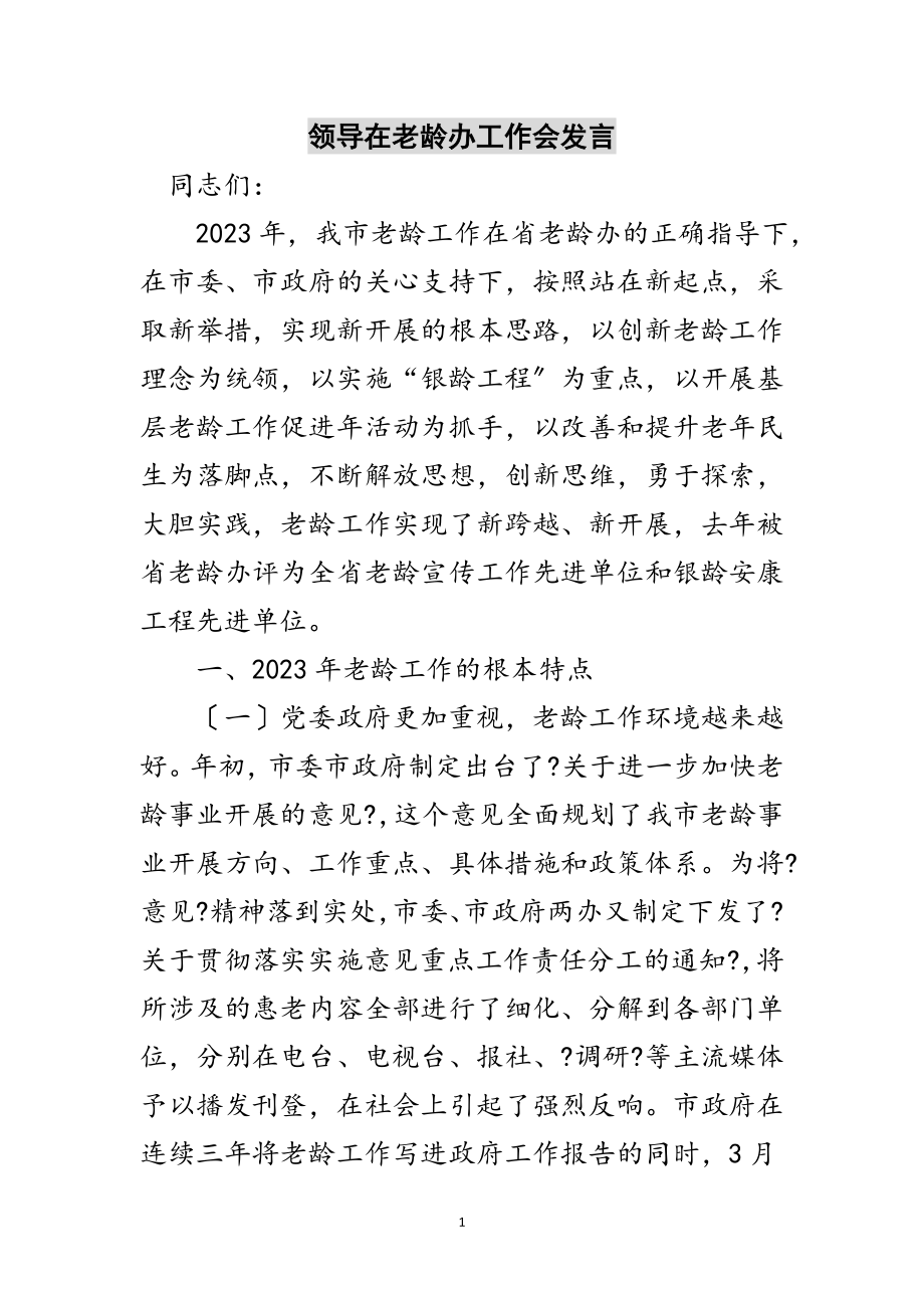 2023年领导在老龄办工作会发言范文.doc_第1页