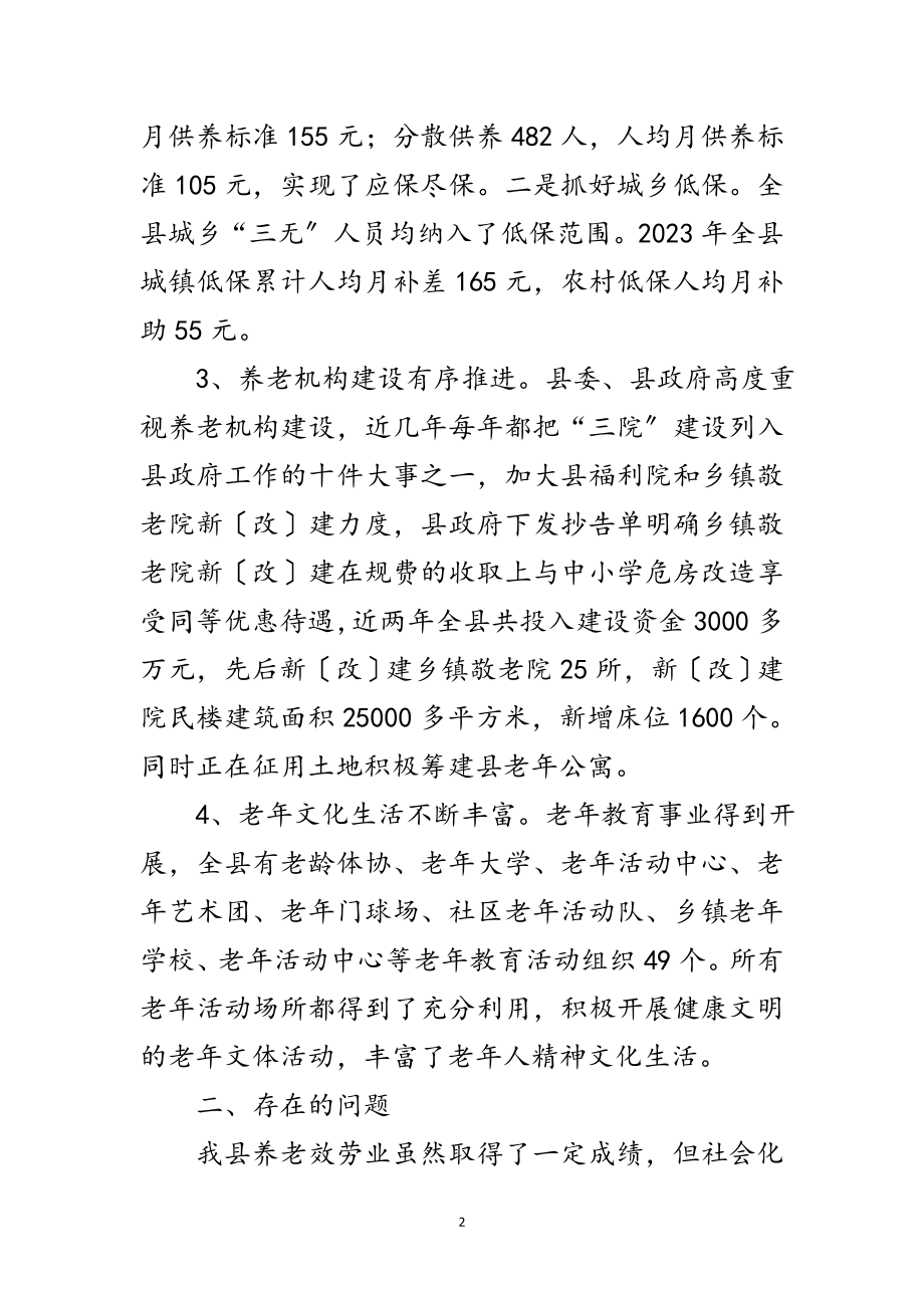 2023年民政局养老服务总结范文.doc_第2页