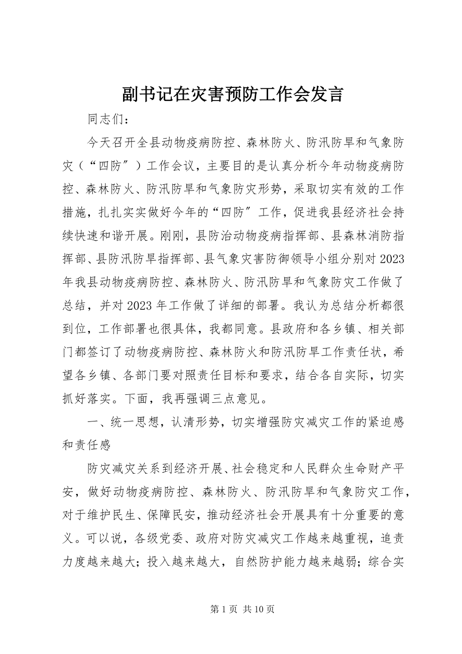 2023年副书记在灾害预防工作会讲话.docx_第1页