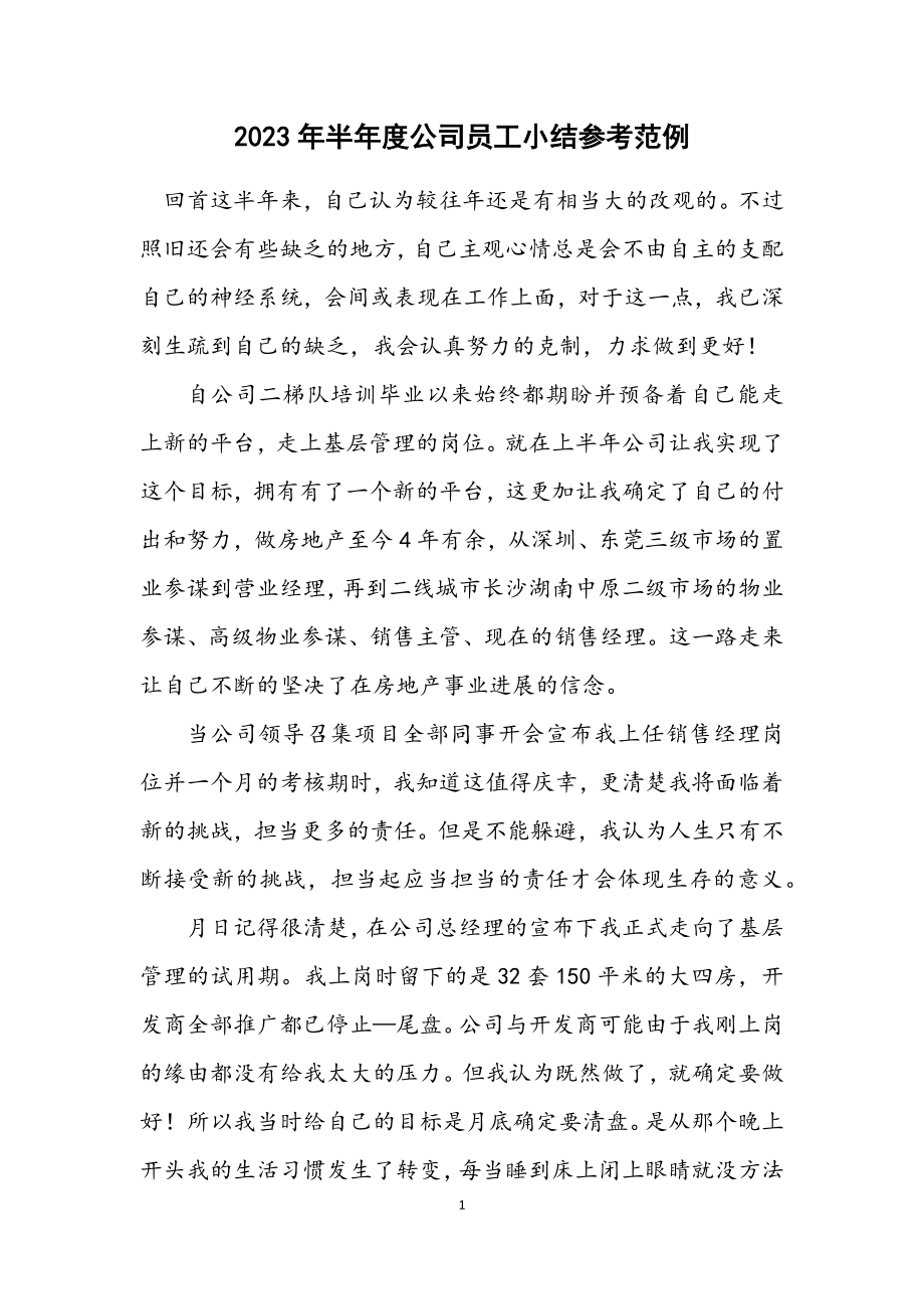 2023年半年度公司员工小结参考范例.docx_第1页