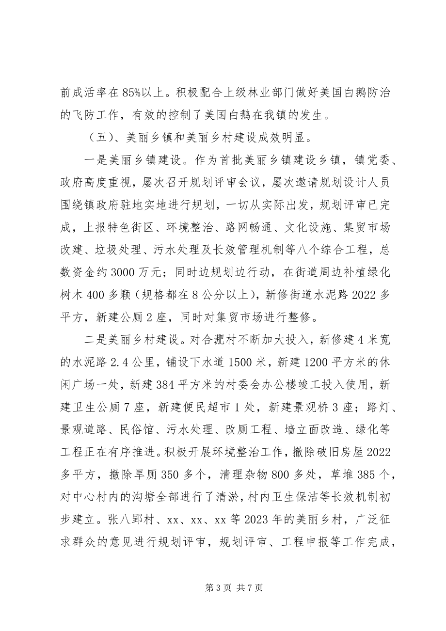 2023年乡镇重点工作年度总结.docx_第3页