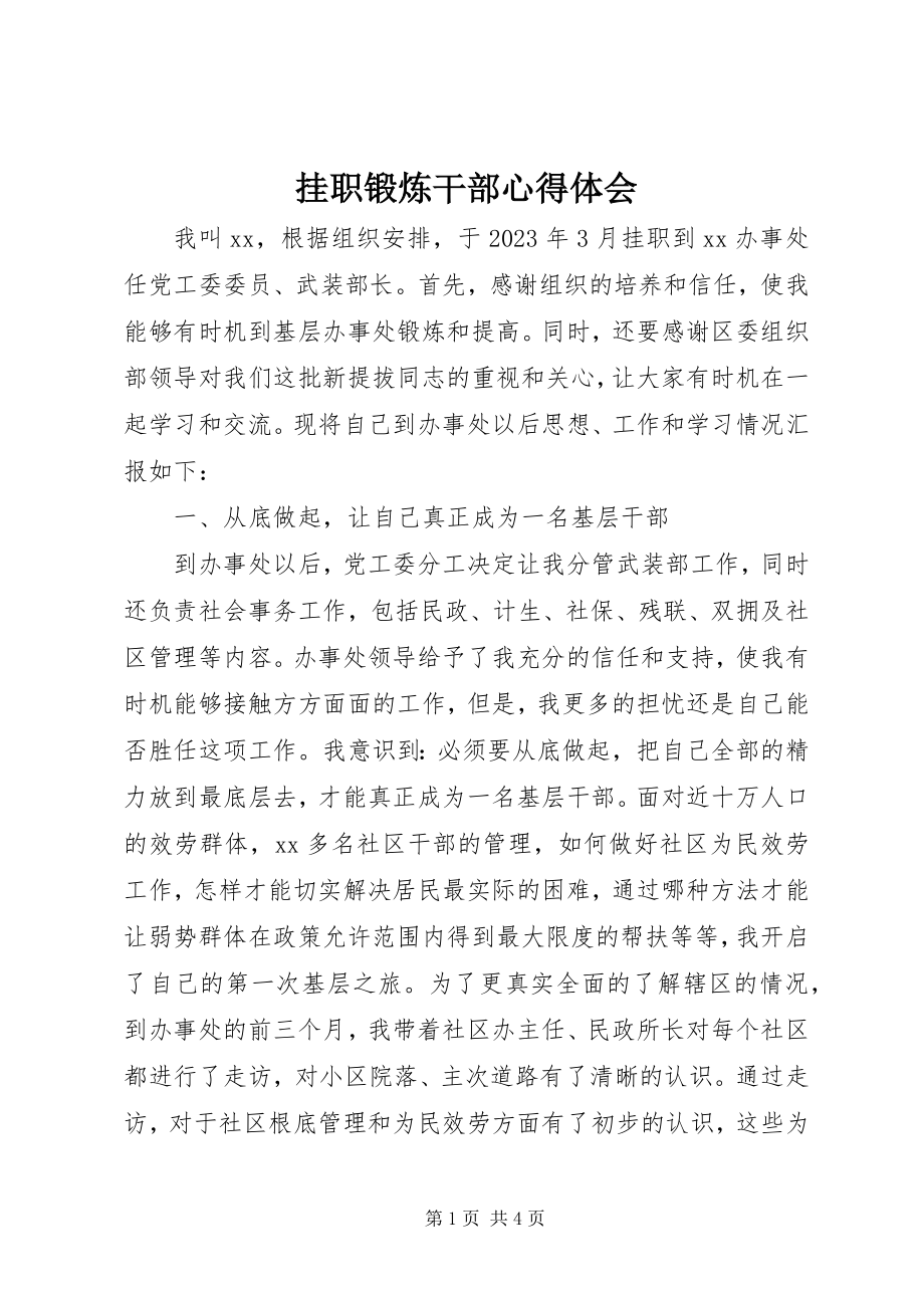 2023年挂职锻炼干部心得体会.docx_第1页