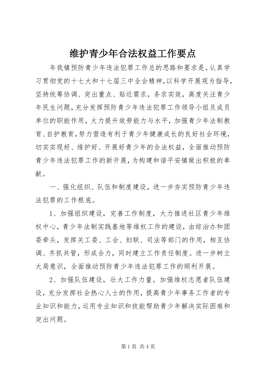 2023年维护青少年合法权益工作要点.docx_第1页