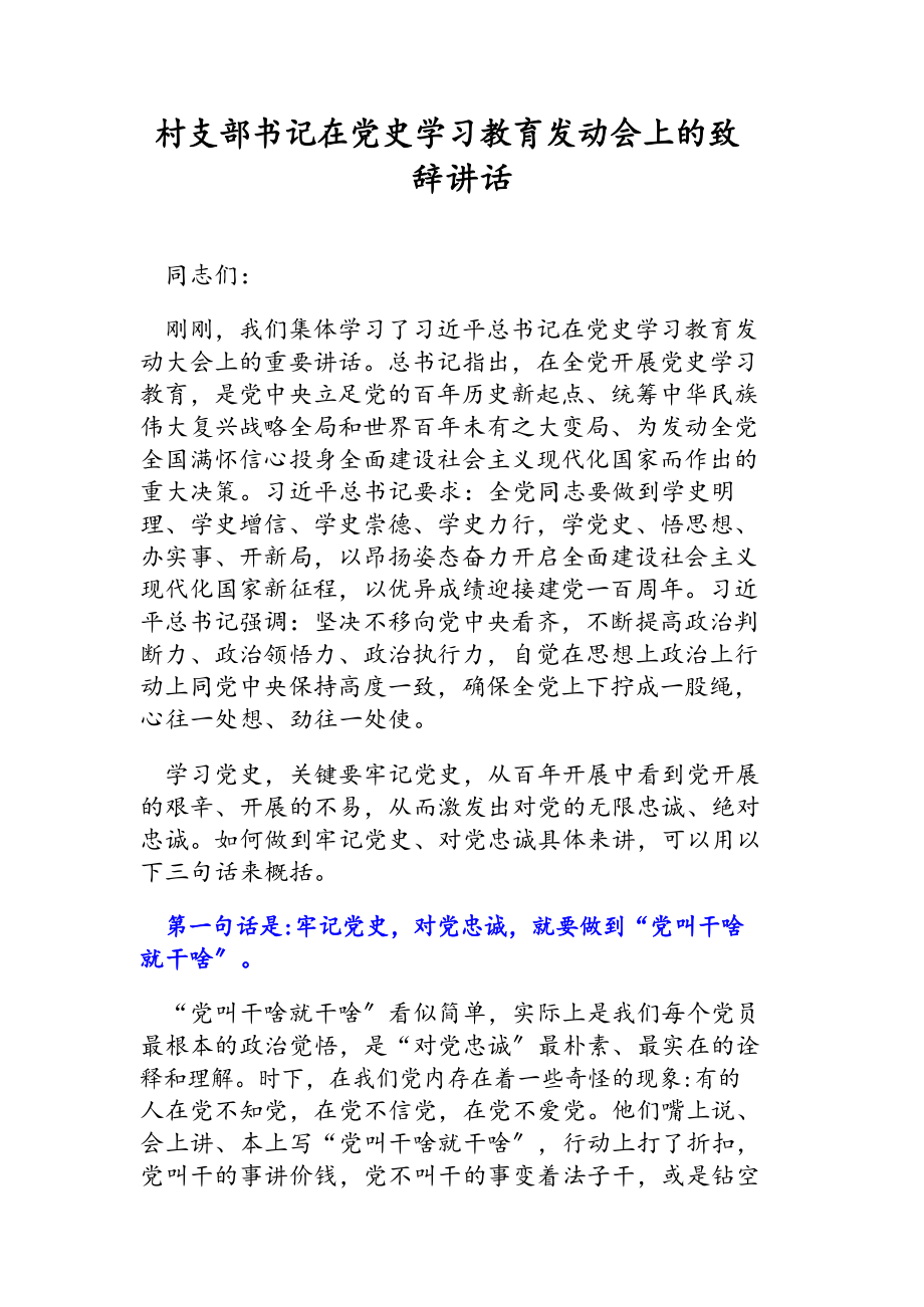 2023年村支部书记在党史学习教育动员会上的致辞讲话.docx_第1页