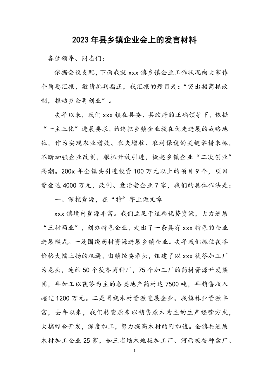 2023年县乡镇企业会上的发言材料.docx_第1页