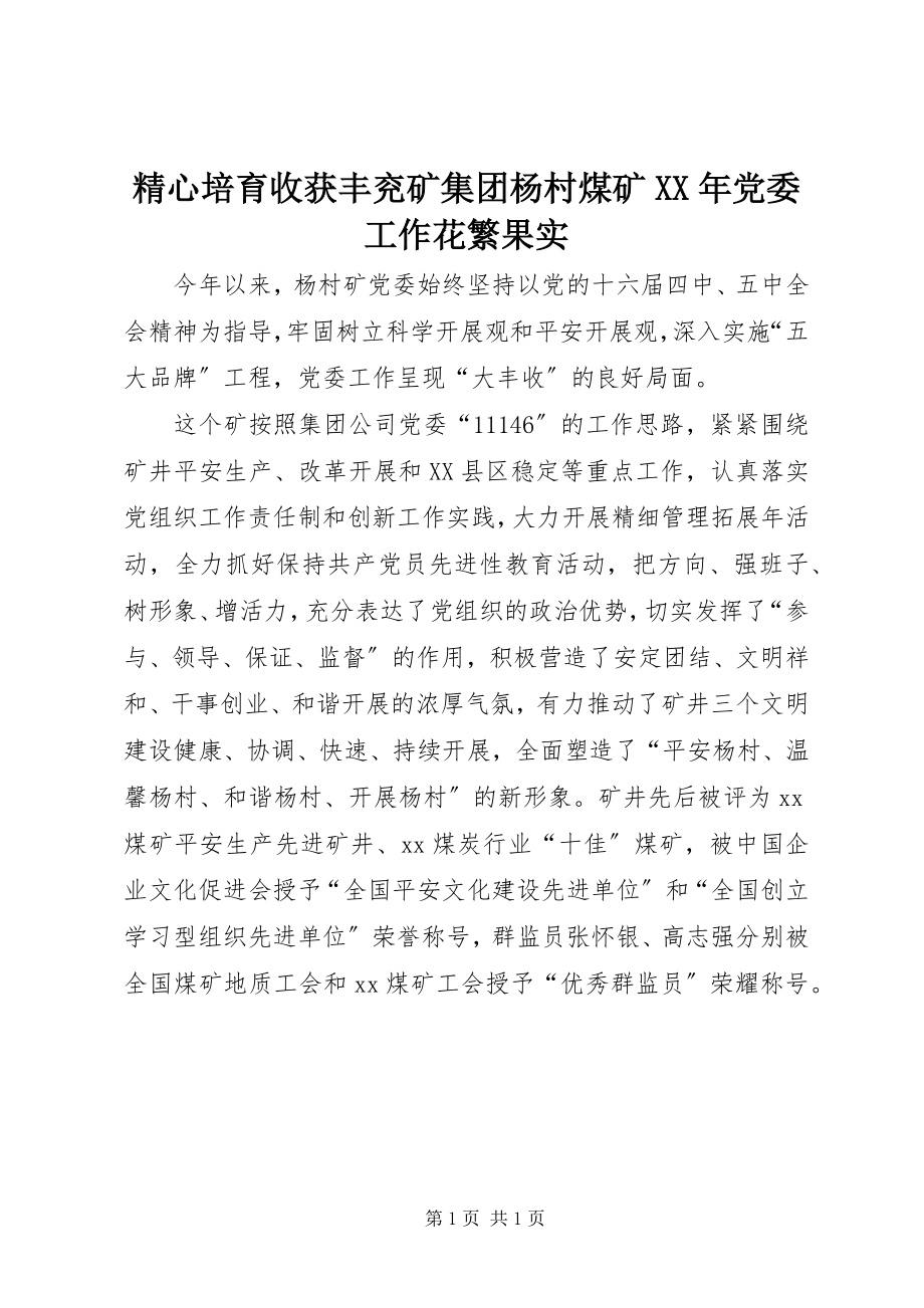 2023年精心培育收获丰兖矿集团杨村煤矿党委工作花繁果实.docx_第1页