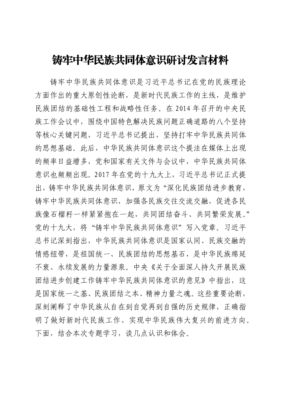 铸牢中华民族共同体意识研讨发言材料.docx_第1页