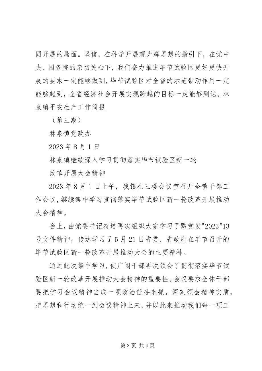 2023年林泉镇学习贯彻落实“大会精神”简报5篇.docx_第3页