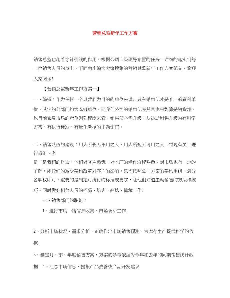 2023年营销总监新工作计划.docx_第1页