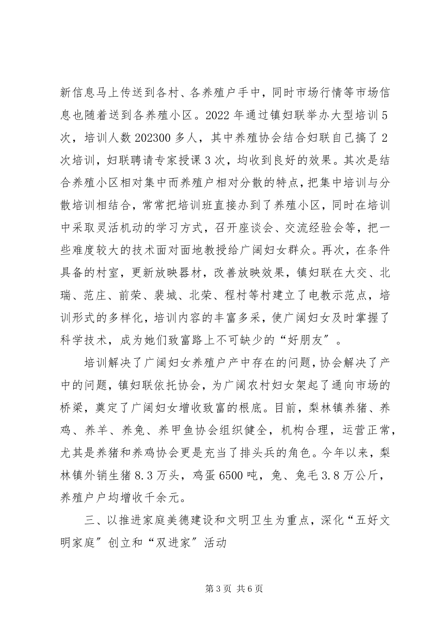 2023年乡镇妇联工作总结乡镇妇联工作总结大全.docx_第3页