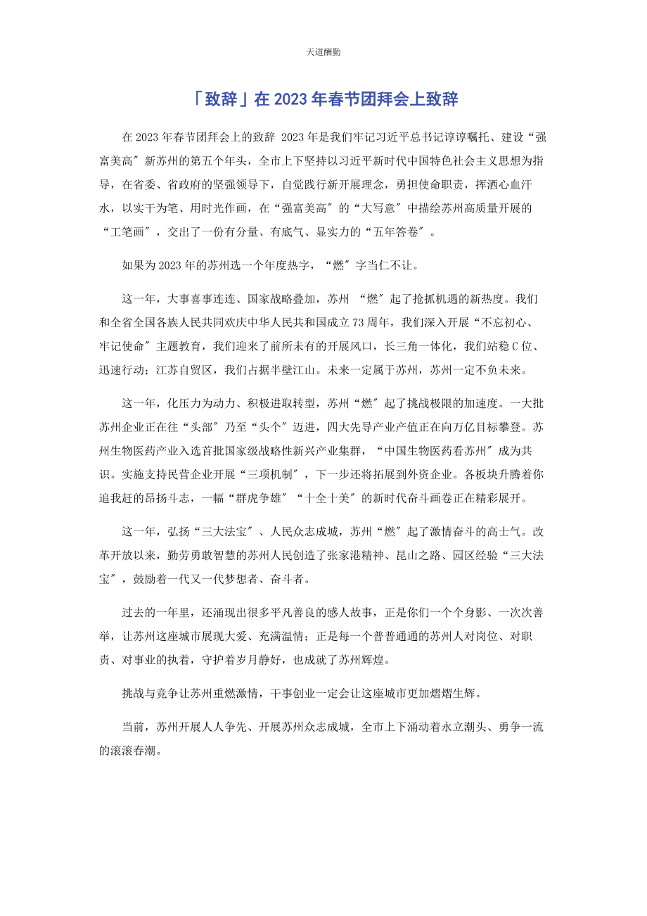 2023年致辞在春节团拜会上致辞范文.docx_第1页