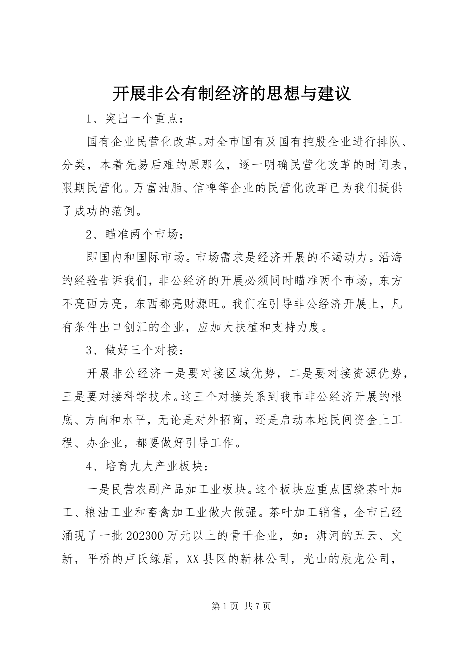 2023年发展非公有制经济的思想与建议.docx_第1页