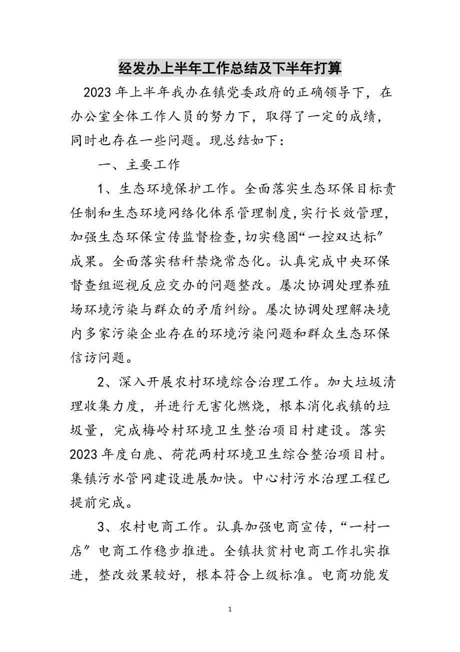 2023年经发办上半年工作总结及下半年打算范文.doc_第1页