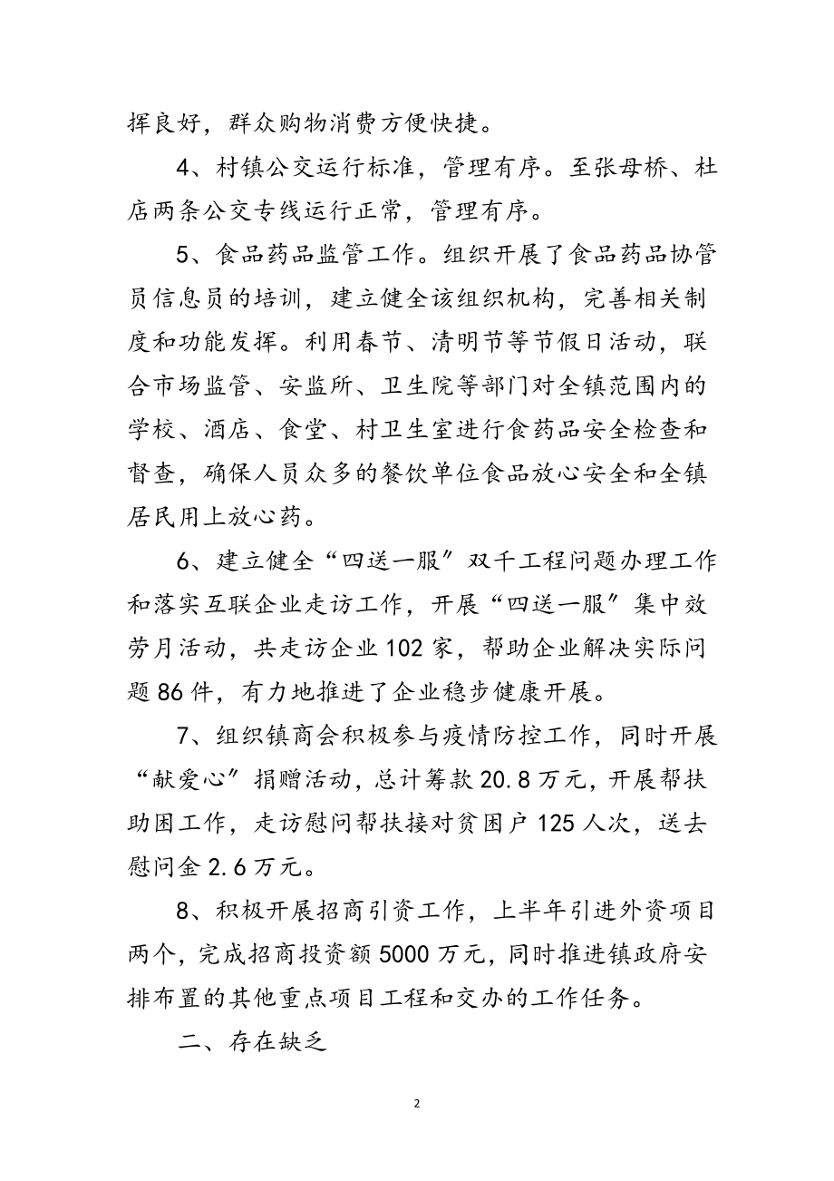 2023年经发办上半年工作总结及下半年打算范文.doc_第2页