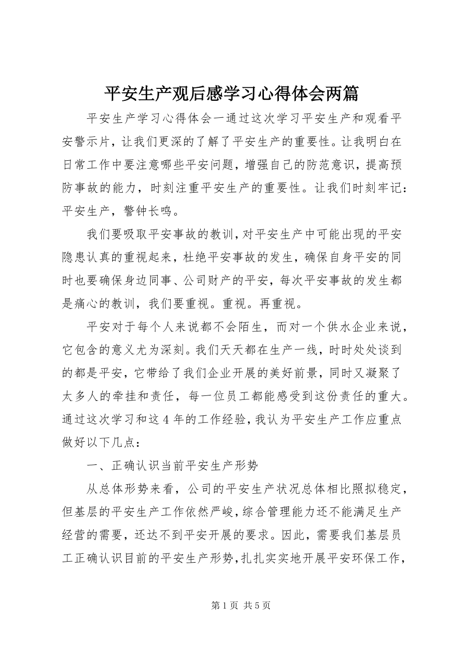 2023年安全生产观后感学习心得体会两篇新编.docx_第1页