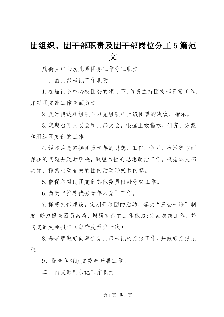 2023年团组织团干部职责及团干部岗位分工5篇.docx_第1页