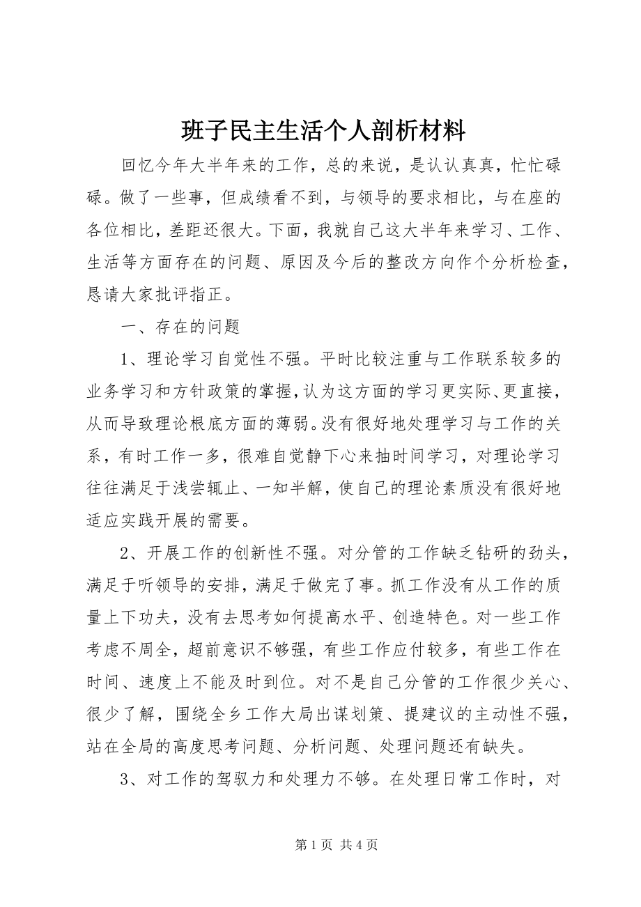 2023年班子民主生活个人剖析材料新编.docx_第1页