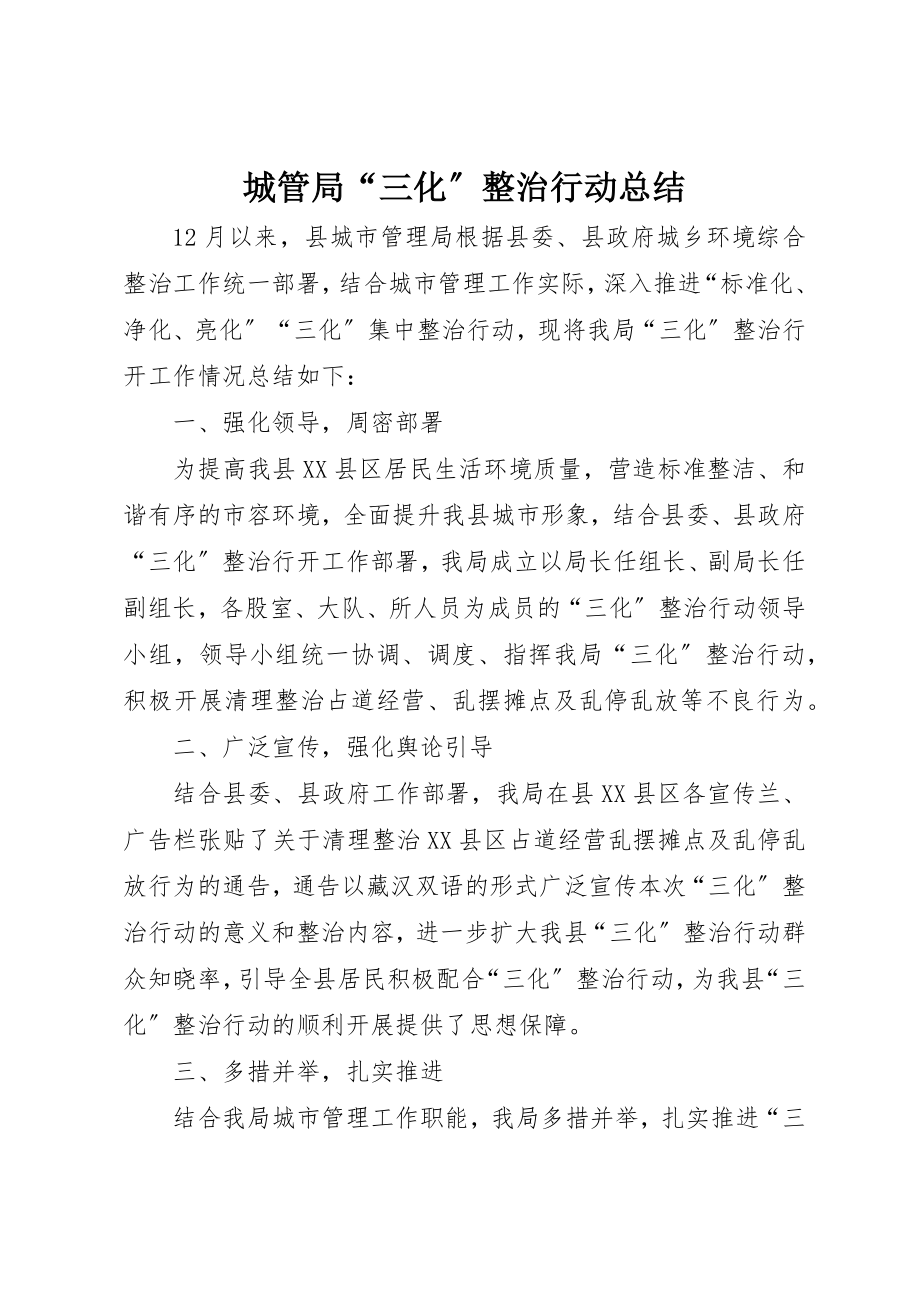 2023年城管局“三化”整治行动总结新编.docx_第1页