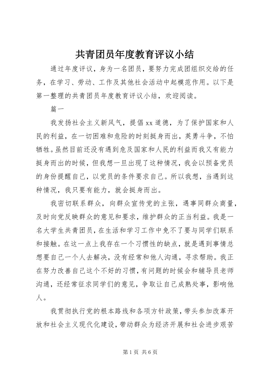 2023年共青团员年度教育评议小结.docx_第1页