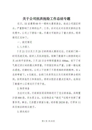 2023年公司抗洪抢险工作总结专题.docx