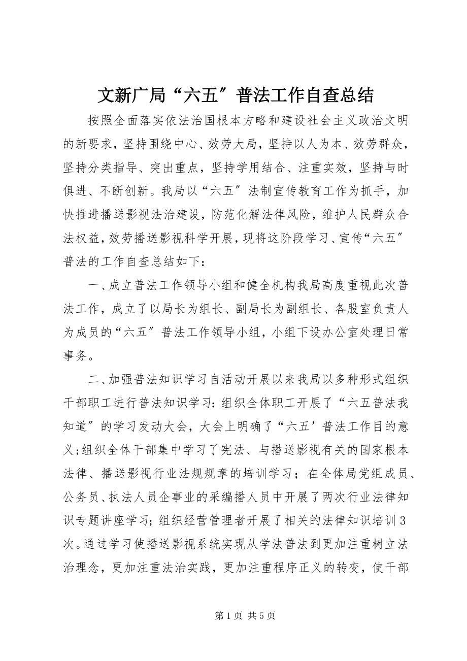 2023年文新广局“六五”普法工作自查总结.docx_第1页