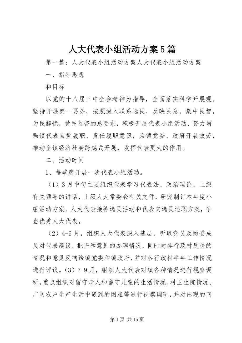 2023年人大代表小组活动计划5篇.docx_第1页