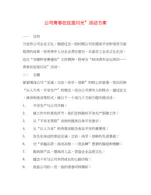 2023年公司青春在这里闪光活动方案.docx