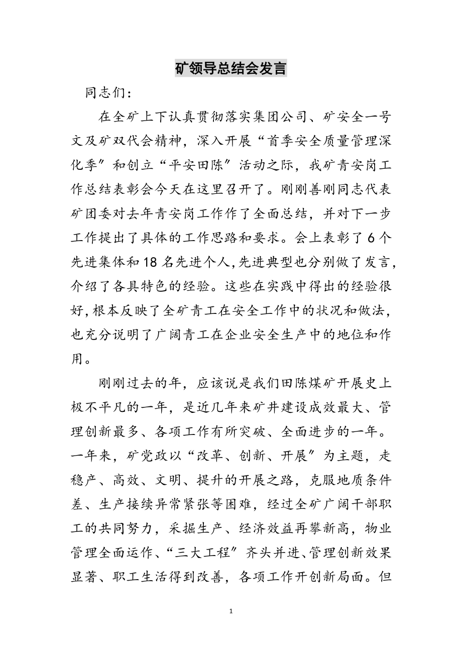 2023年矿领导总结会发言范文.doc_第1页