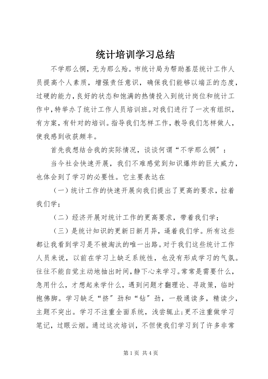 2023年统计培训学习总结.docx_第1页