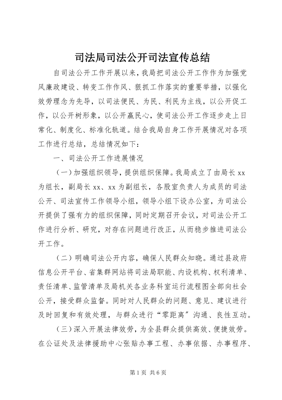 2023年司法局司法公开司法宣传总结.docx_第1页