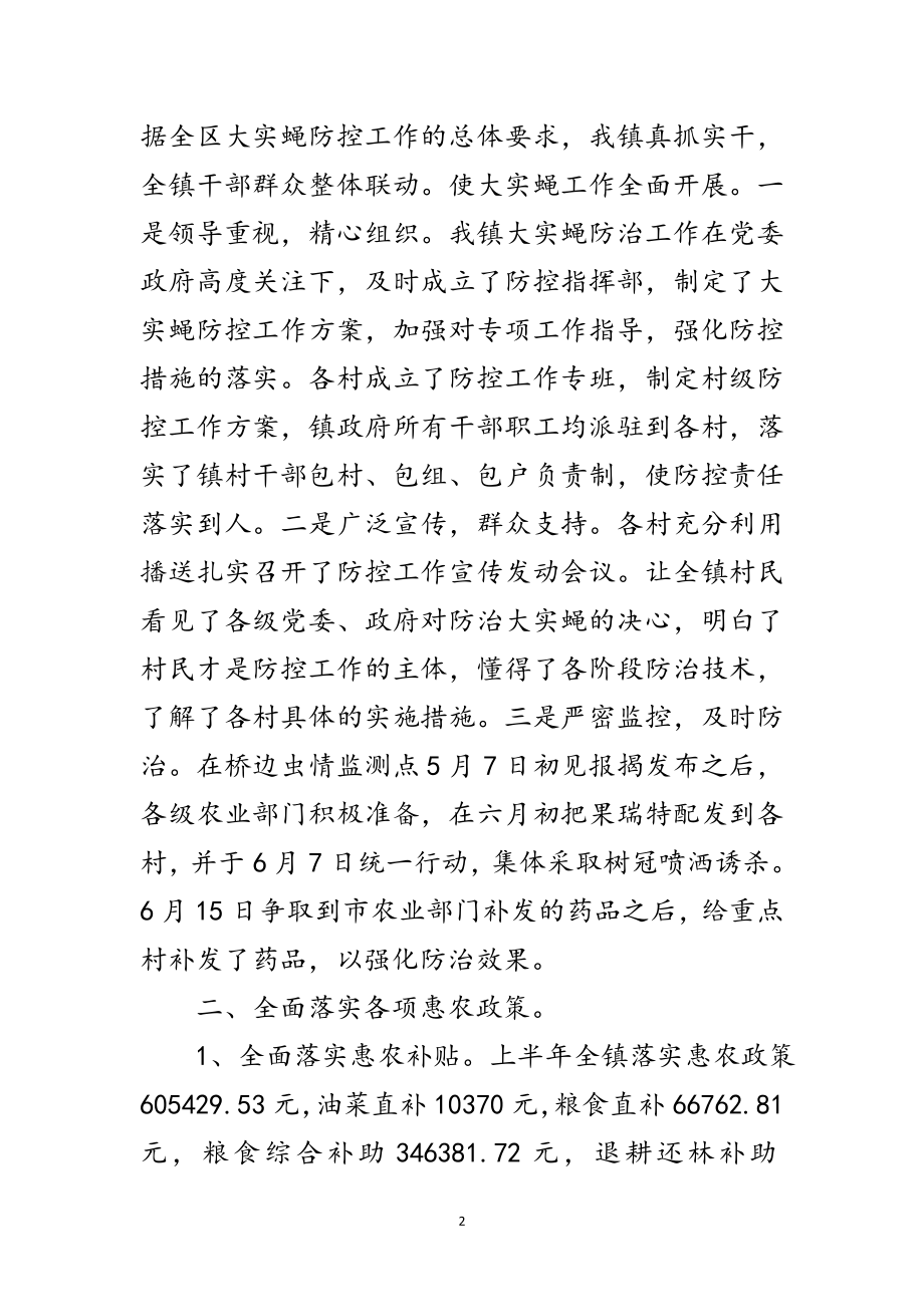 2023年乡镇部门半年工作总结5篇范文.doc_第2页