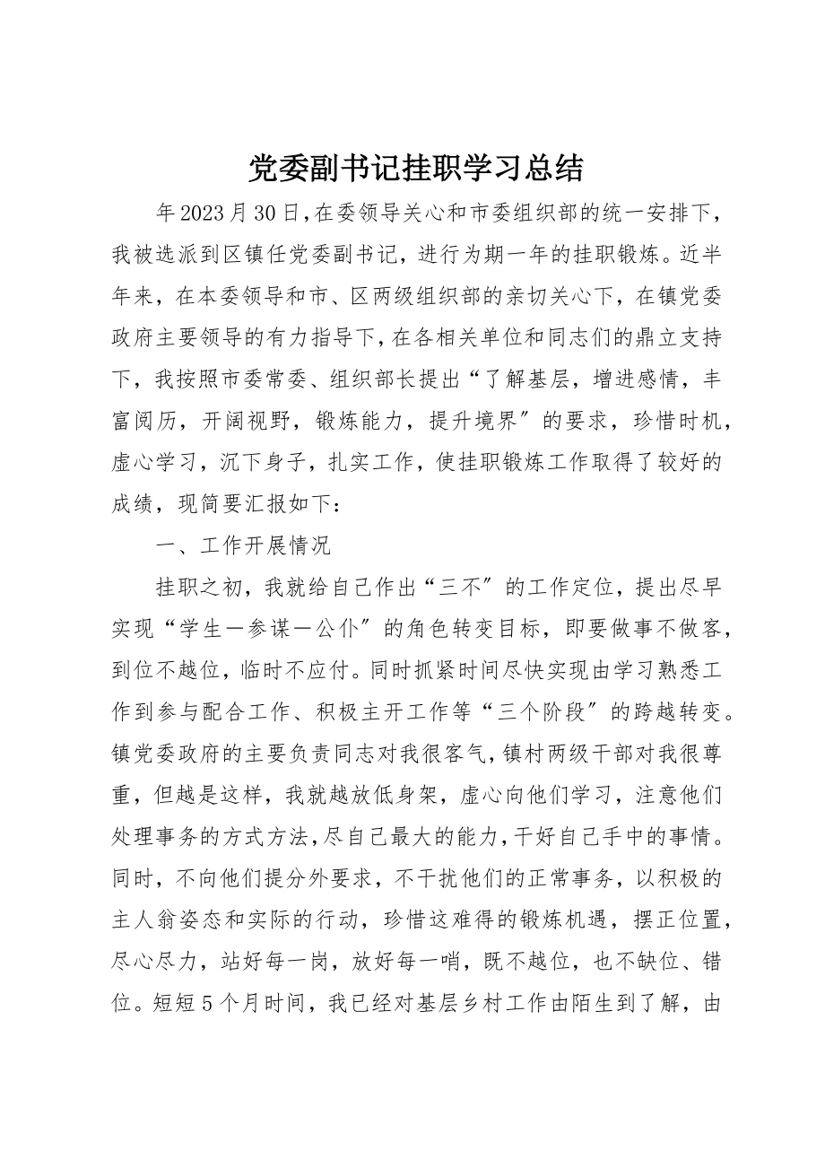 2023年党委副书记挂职学习总结.docx_第1页