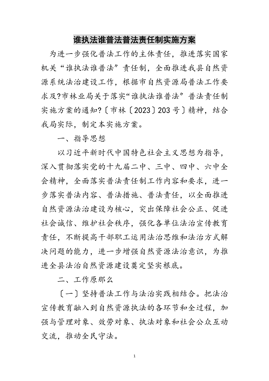 2023年谁执法谁普法普法责任制实施方案范文.doc_第1页