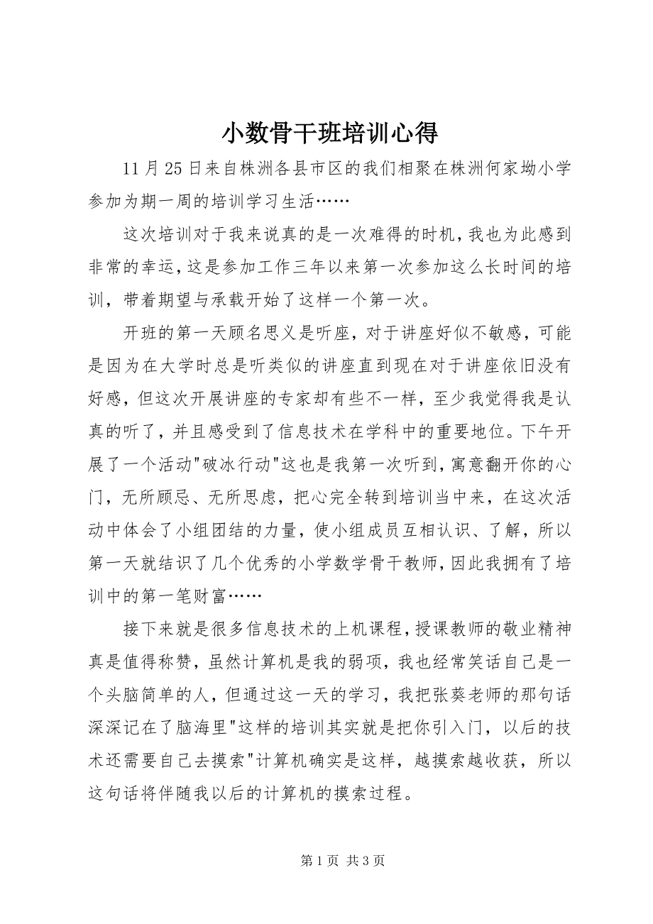 2023年小数骨干班培训心得.docx_第1页