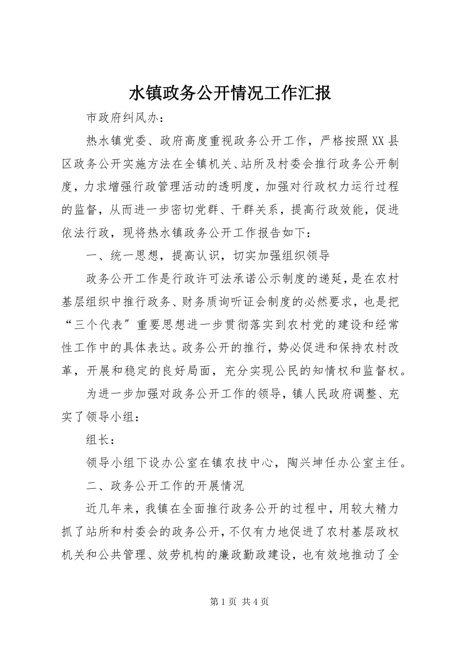 2023年水镇政务公开情况工作汇报.docx_第1页