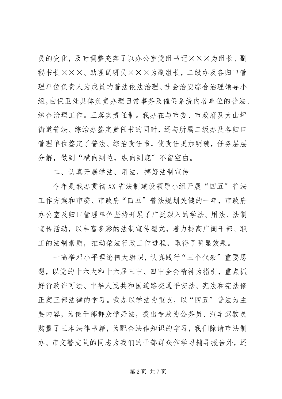 2023年人民政府办公室年综治普法工作总结.docx_第2页