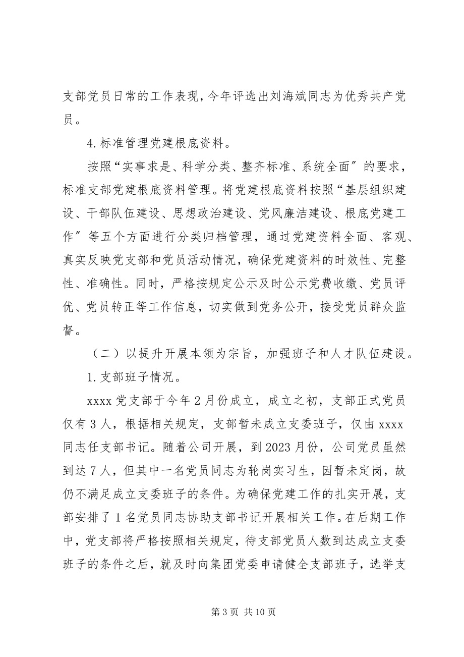 2023年公司党支部年终工作总结.docx_第3页