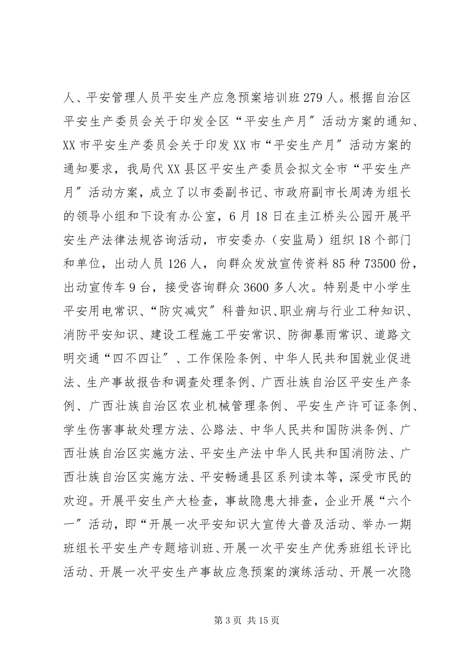 2023年市安监局半年工作总结.docx_第3页