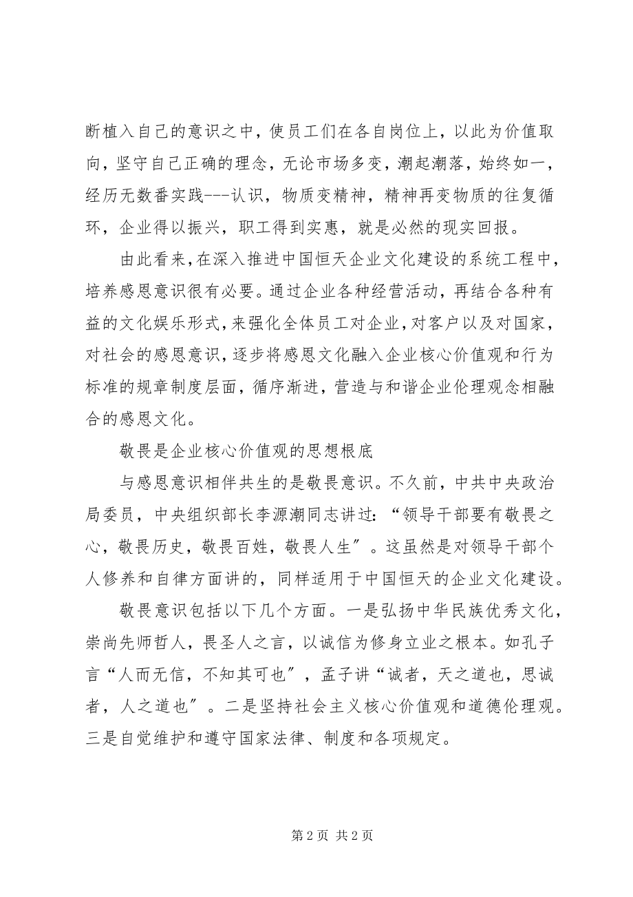 2023年企业价值观和行为模式的思考.docx_第2页