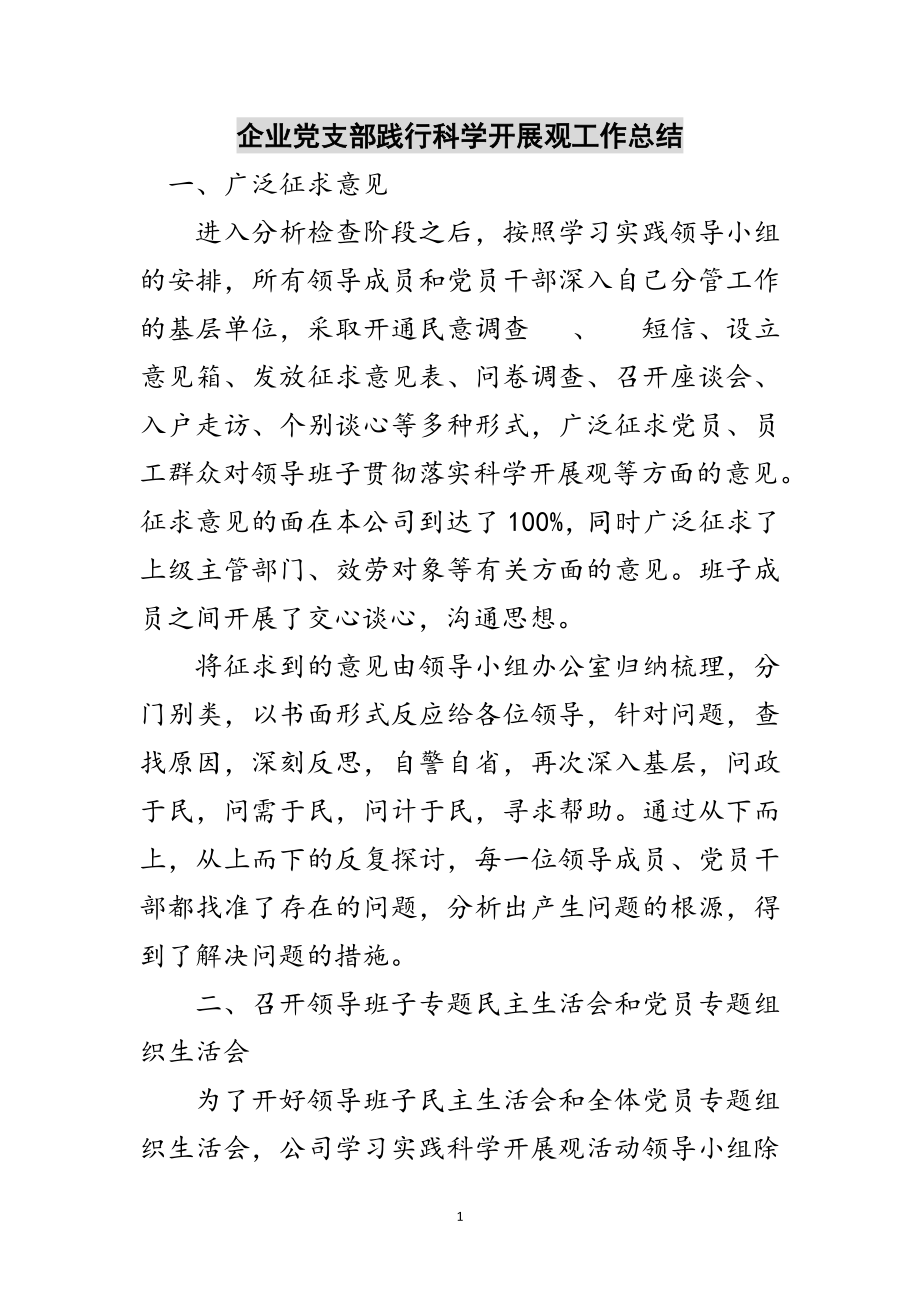 2023年企业党支部践行科学发展观工作总结范文.doc_第1页