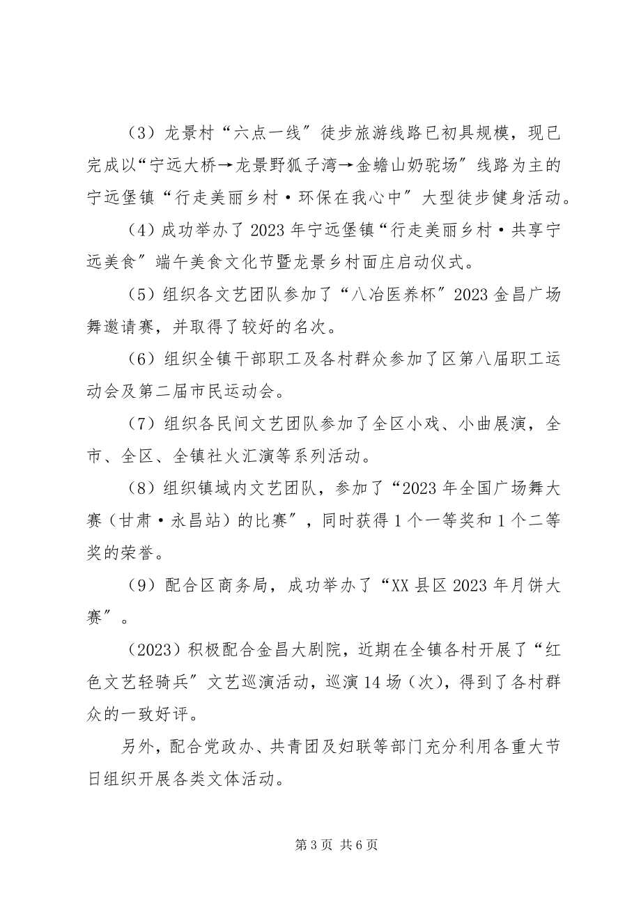 2023年镇文化服务中心工作总结.docx_第3页