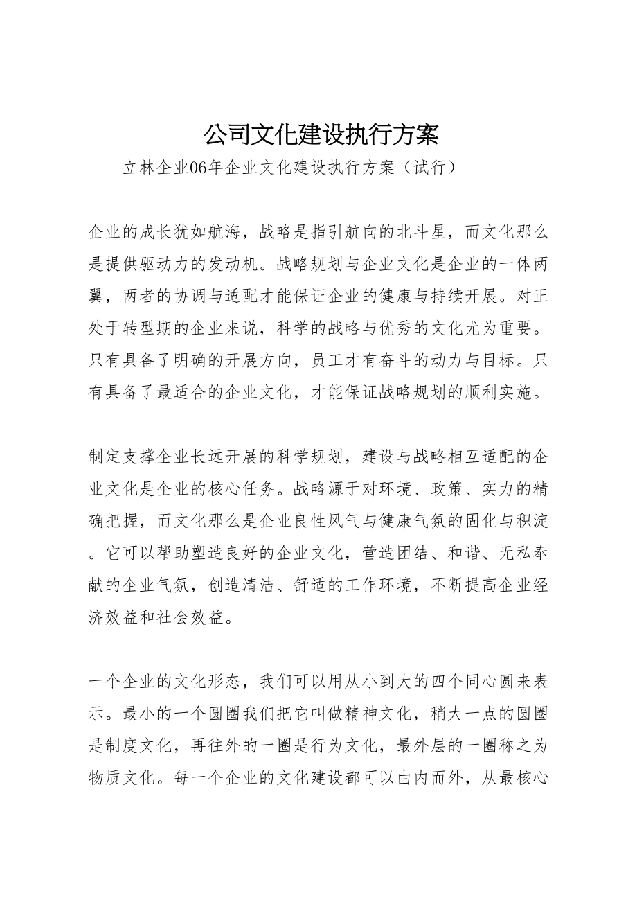 2023年公司文化建设执行方案 .doc_第1页