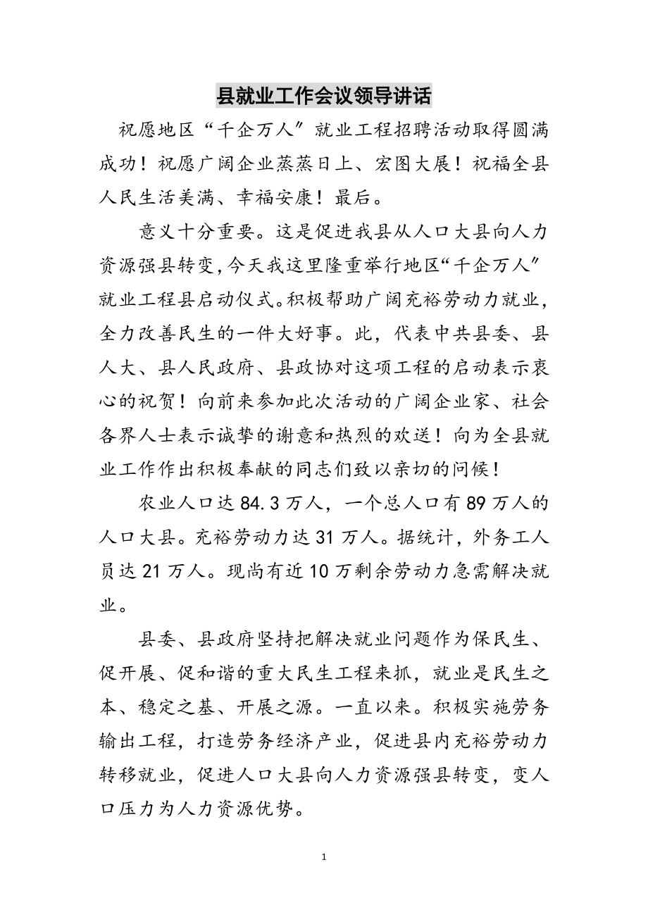 2023年县就业工作会议领导讲话范文.doc_第1页