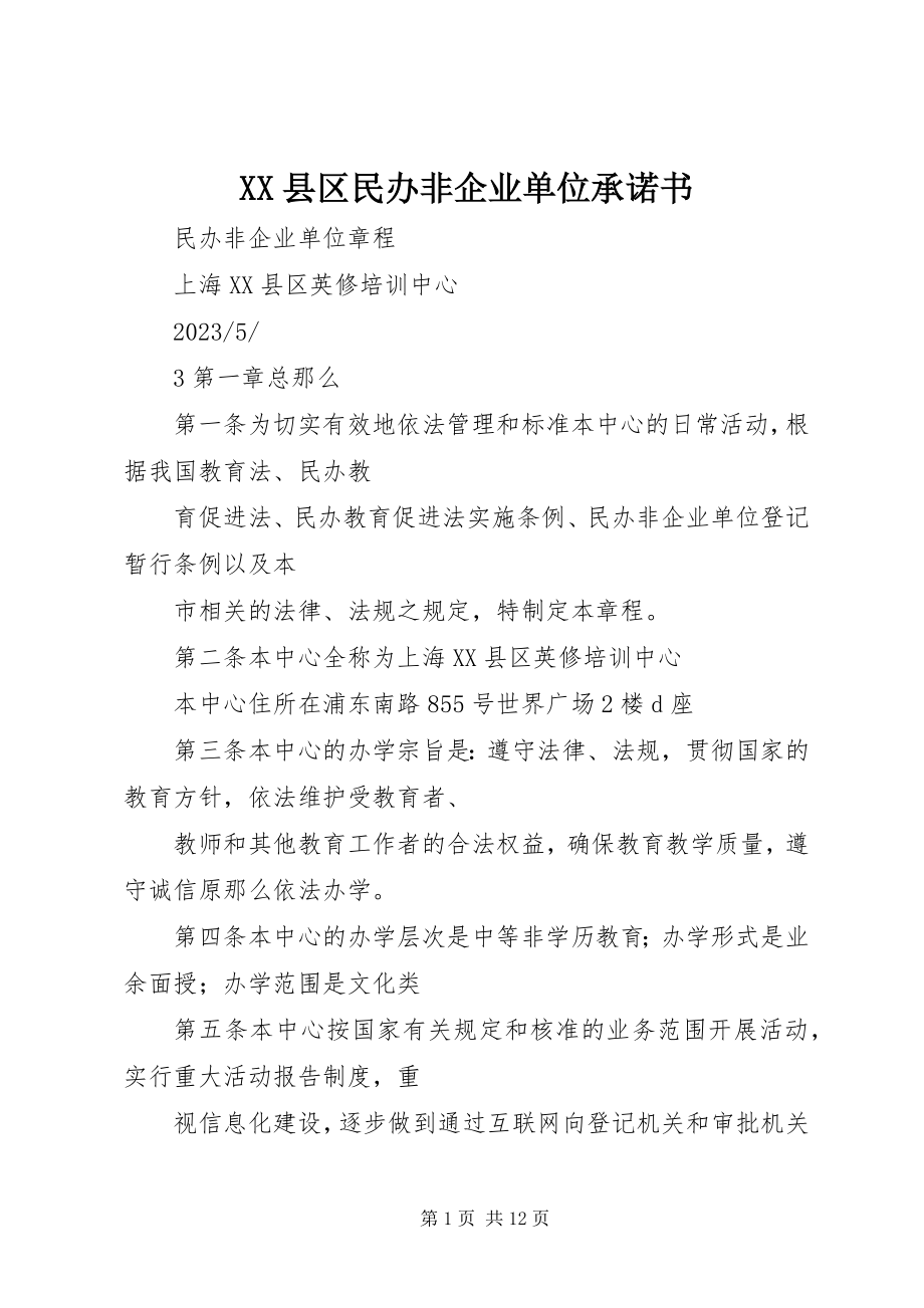 2023年XX县区民办非企业单位承诺书新编.docx_第1页