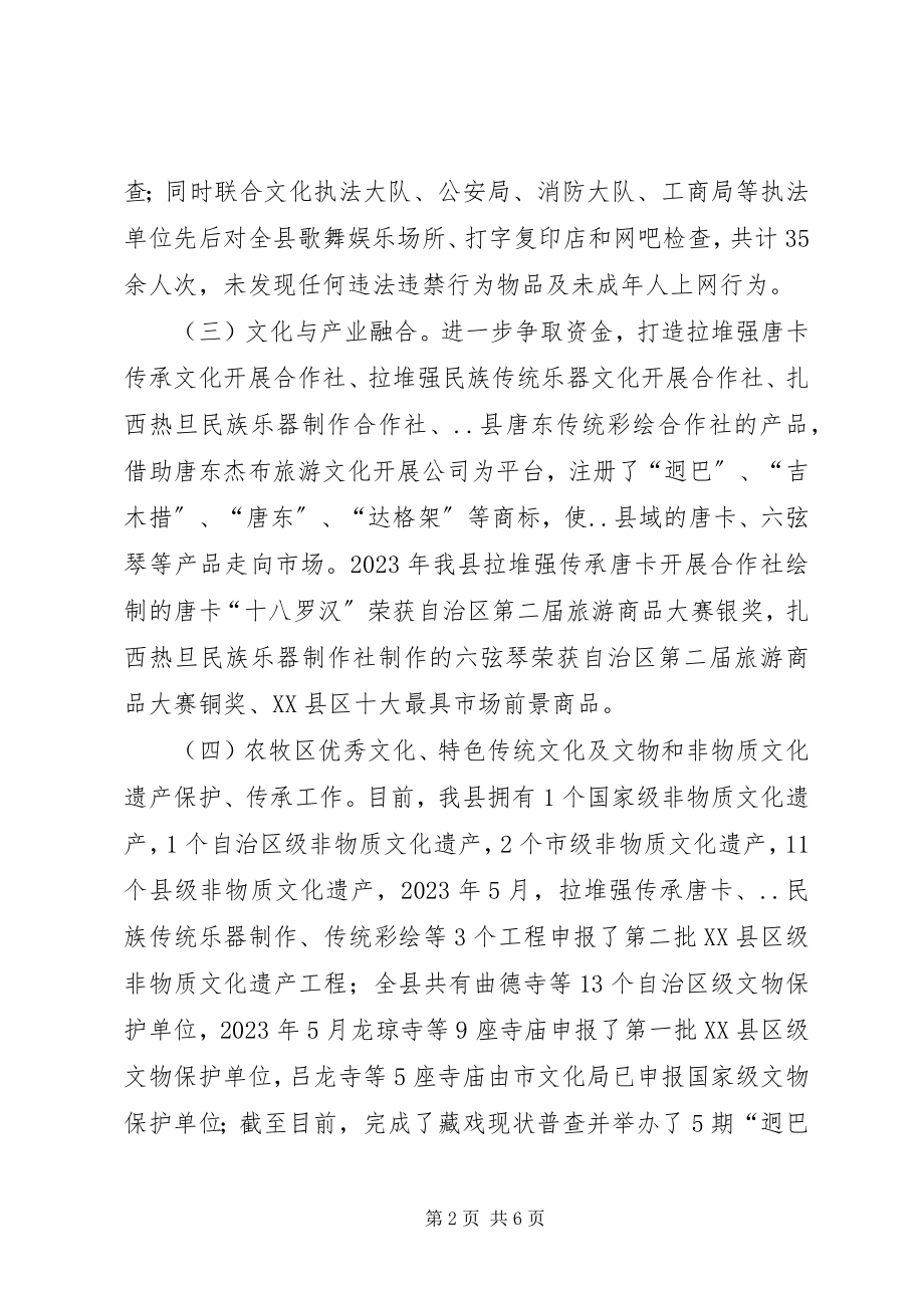 2023年县文广局上半年工作总结及下半年工作安排.docx_第2页